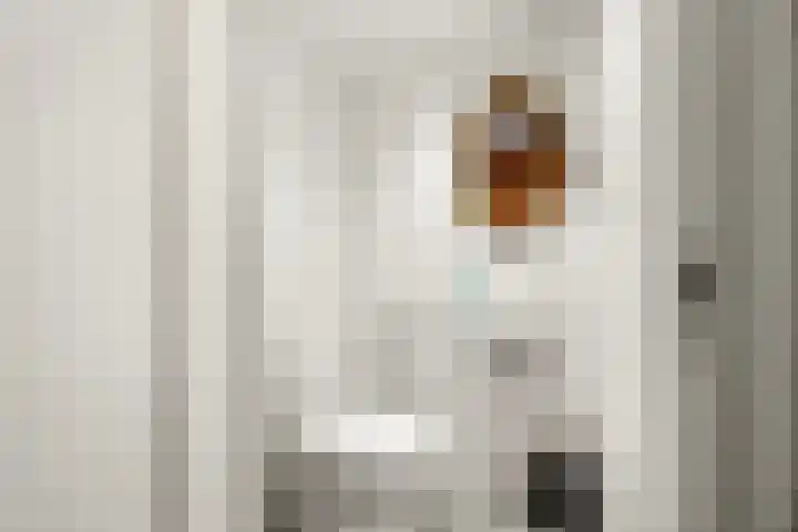 Plevierdonk 21 Veghel thumbnail 42