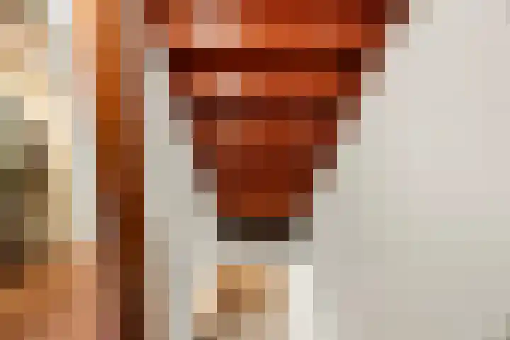 Plevierdonk 21 Veghel thumbnail 43