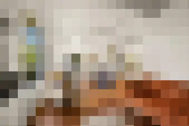 Plevierdonk 21 Veghel thumbnail 47