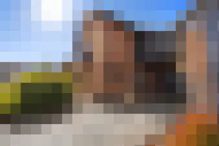Plevierdonk 21 Veghel thumbnail 5