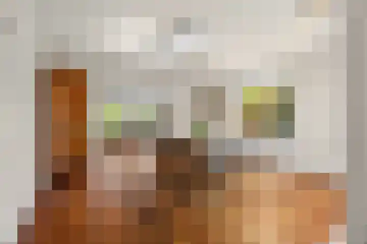 Plevierdonk 21 Veghel thumbnail 51