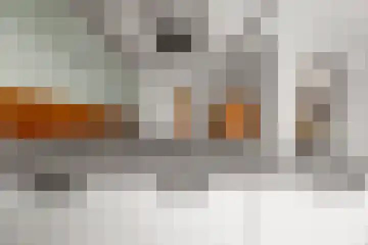 Plevierdonk 21 Veghel thumbnail 52