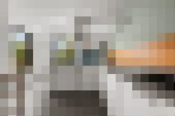 Plevierdonk 21 Veghel thumbnail 54