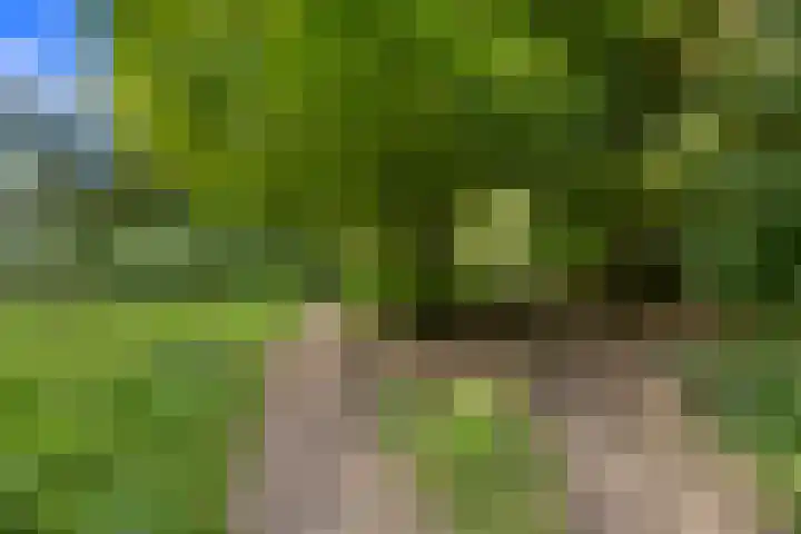 Plevierdonk 21 Veghel thumbnail 57