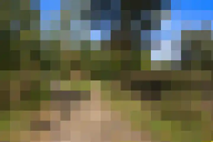 Plevierdonk 21 Veghel thumbnail 58