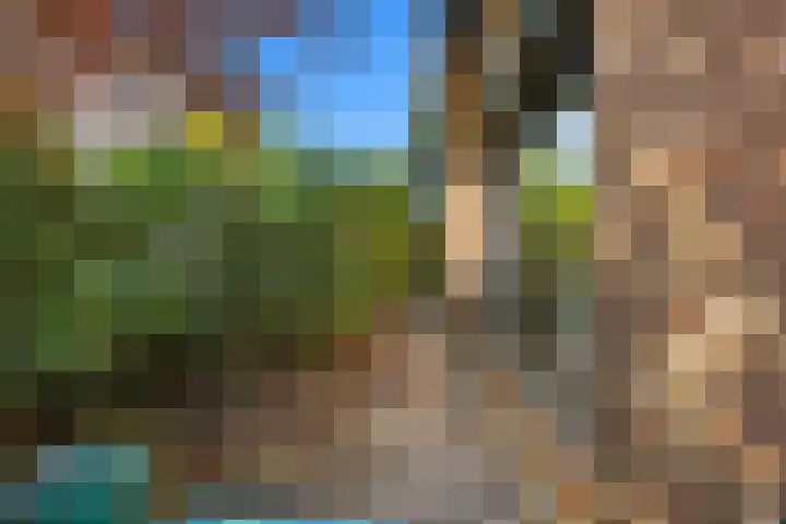 Plevierdonk 21 Veghel thumbnail 6