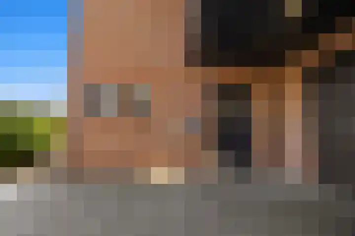Plevierdonk 21 Veghel thumbnail 8