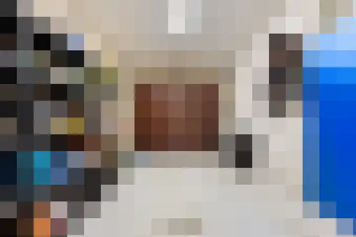Plevierdonk 21 Veghel thumbnail 9