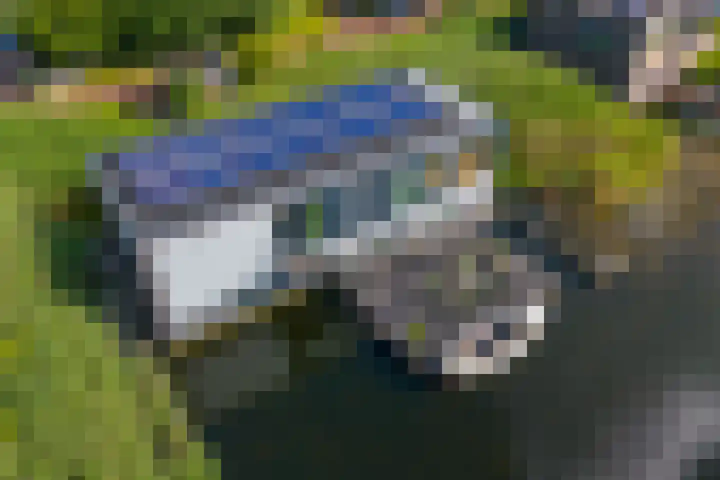 Pleviereneiland 1 Meerstad thumbnail 11