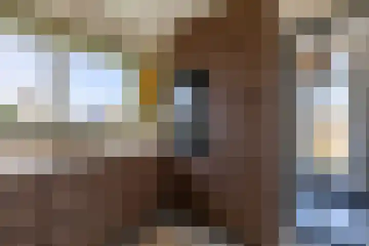 Pleviereneiland 1 Meerstad thumbnail 19