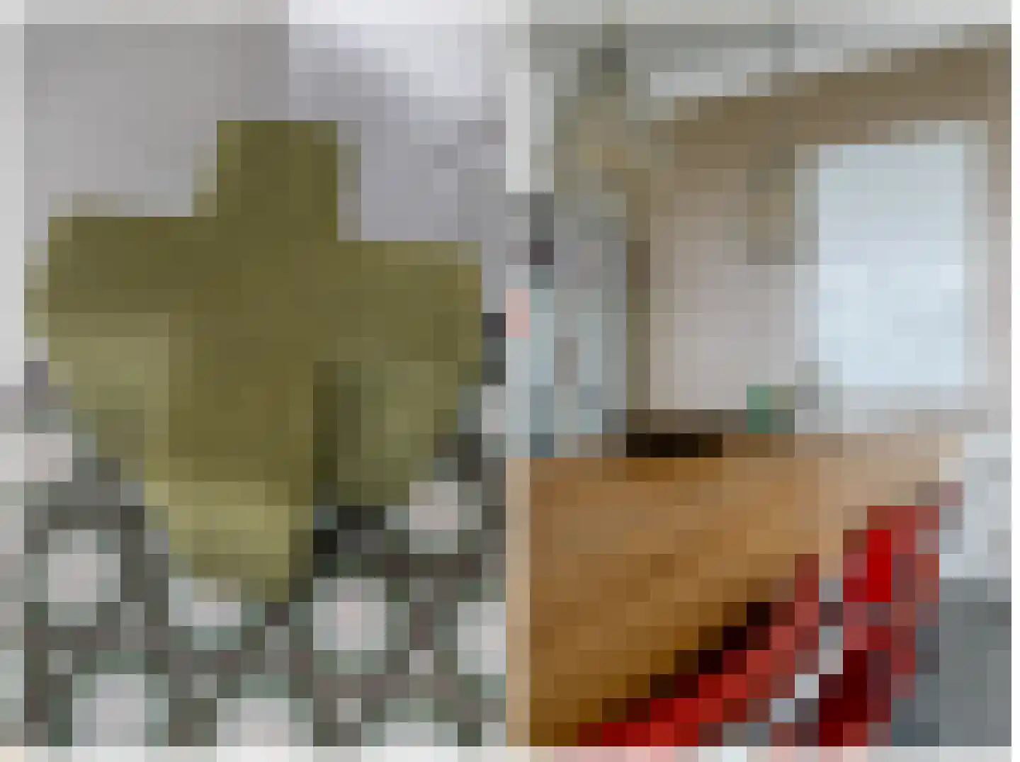 Pleviereneiland 1 Meerstad thumbnail 40