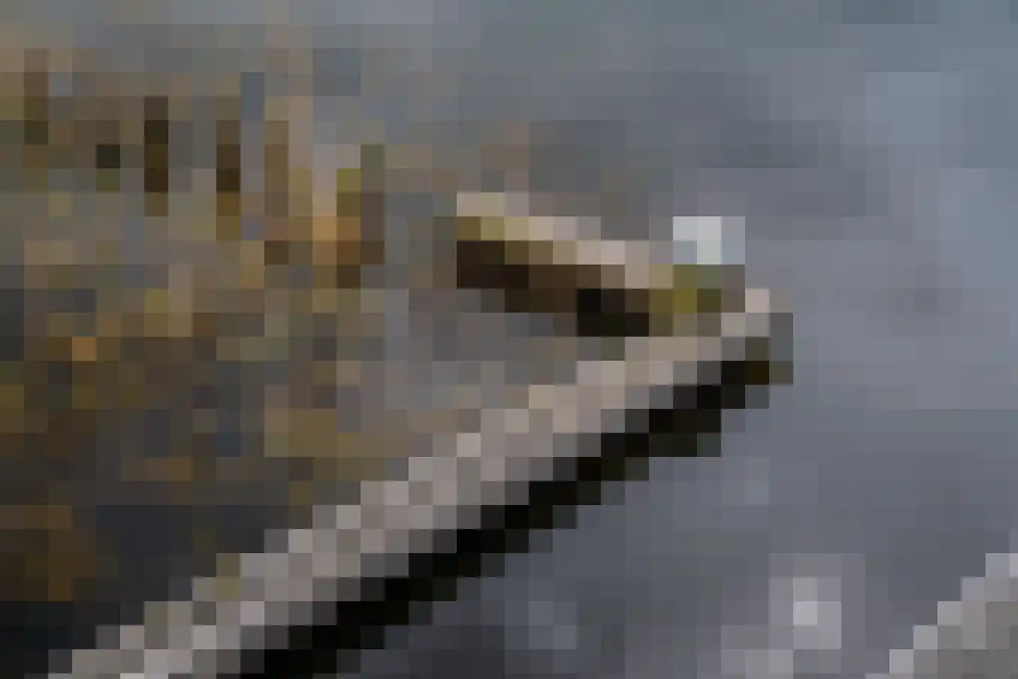Pleviereneiland 1 Meerstad thumbnail 49