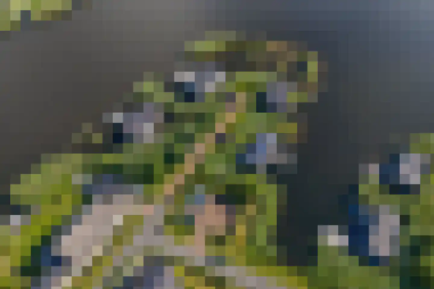 Pleviereneiland 1 Meerstad thumbnail 87