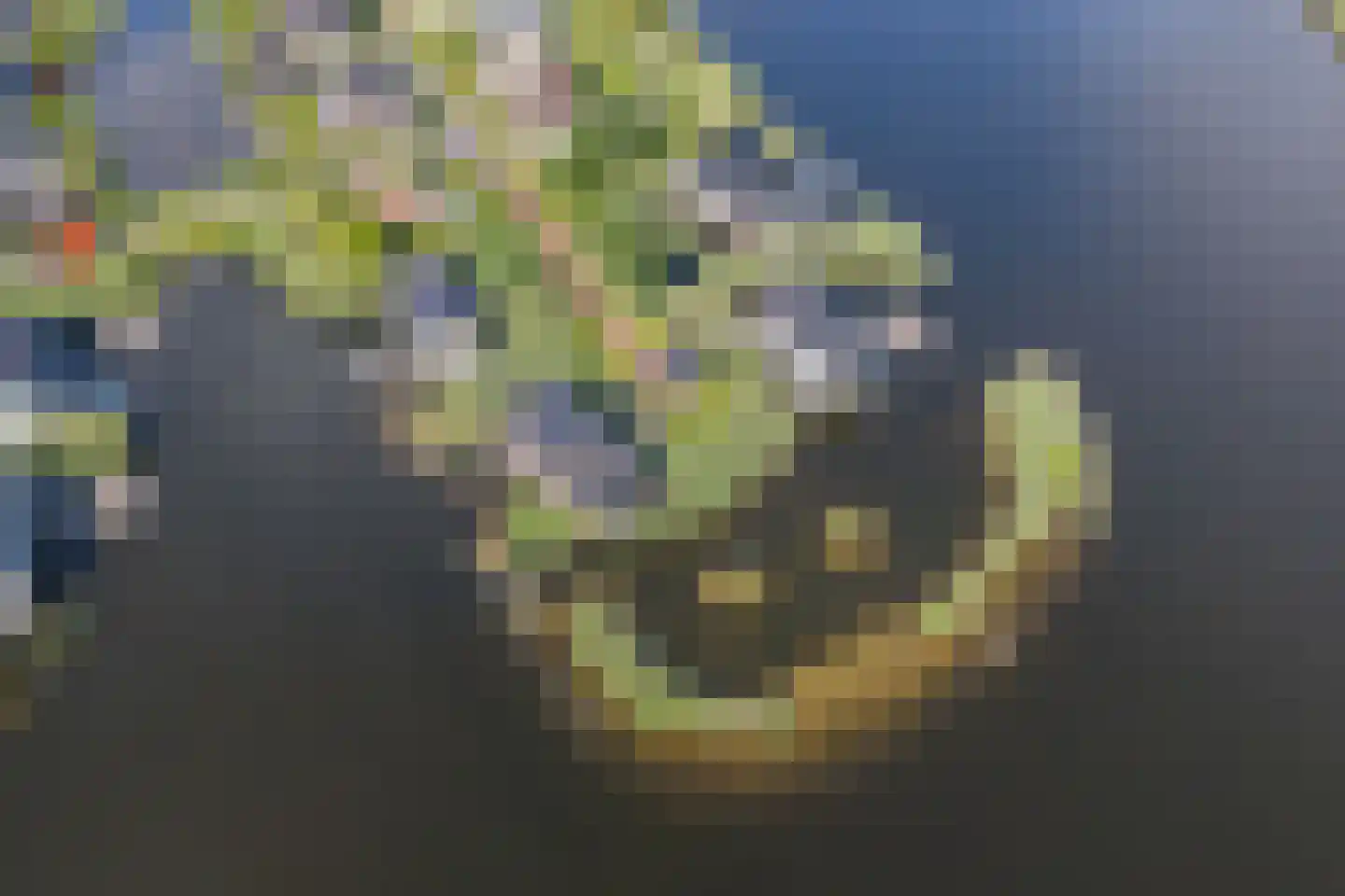 Pleviereneiland 1 Meerstad thumbnail 88