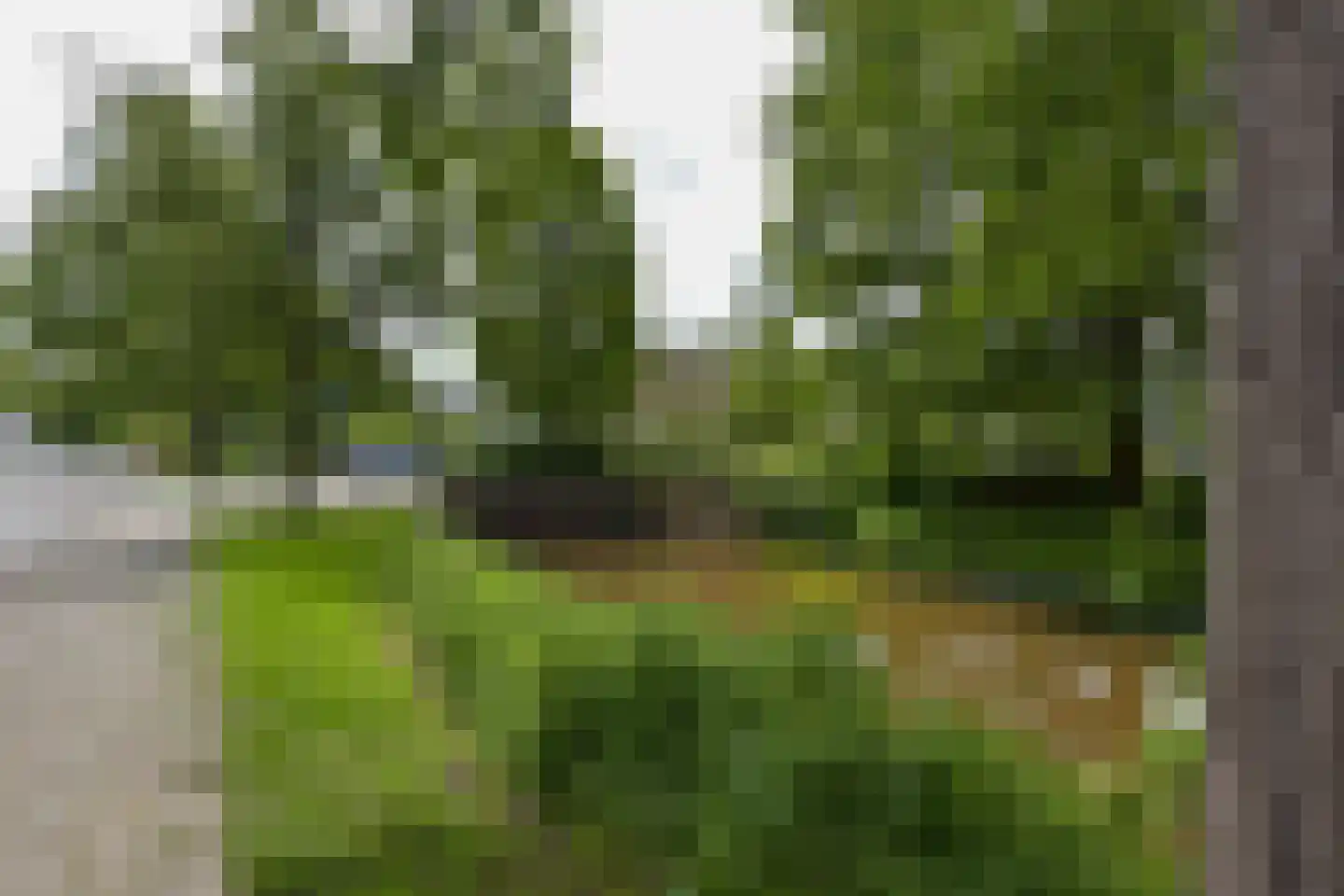 Plevierenlaan 28 Vinkeveen thumbnail 33