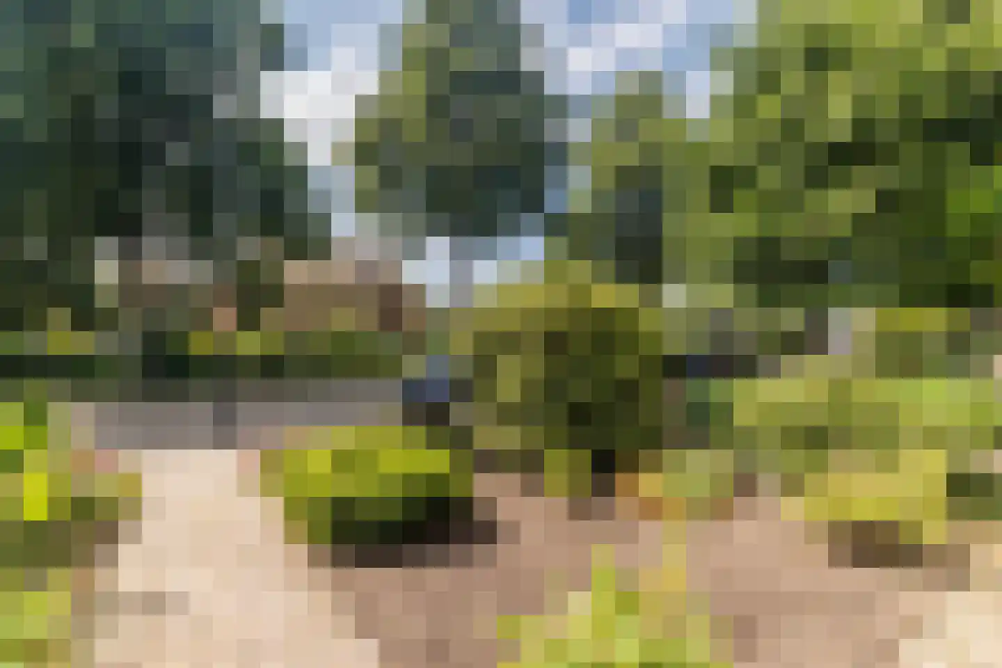 Plevierenlaan 32 Vinkeveen thumbnail 39