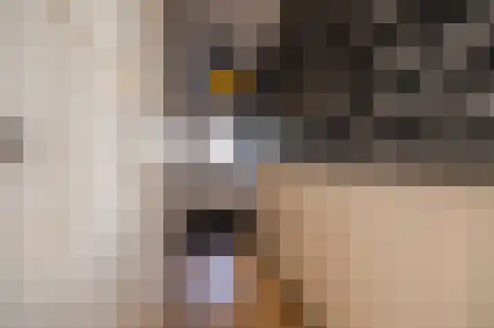 Plevierenlaan 36 Vinkeveen thumbnail 11