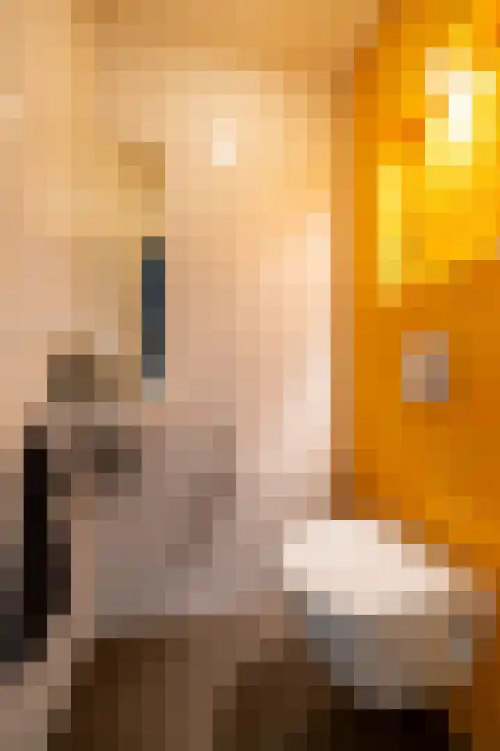 Plevierenlaan 36 Vinkeveen thumbnail 12