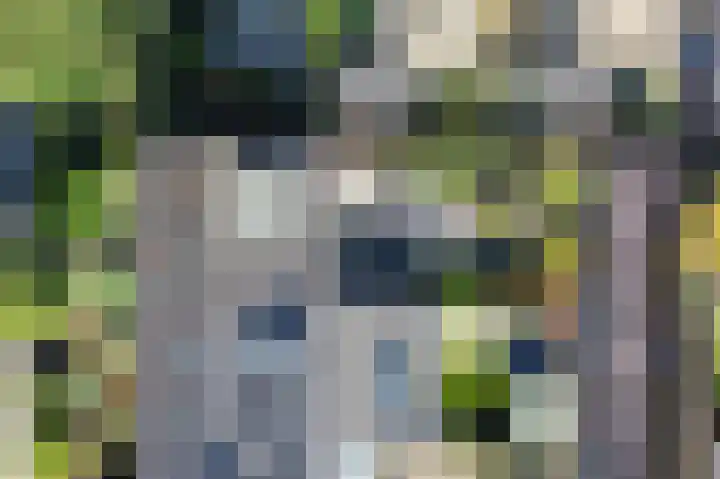 Plevierenlaan 36 Vinkeveen thumbnail 19