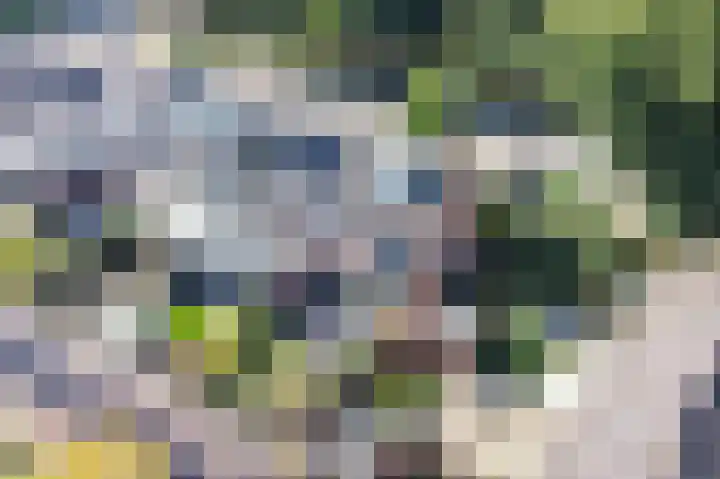 Plevierenlaan 36 Vinkeveen thumbnail 20