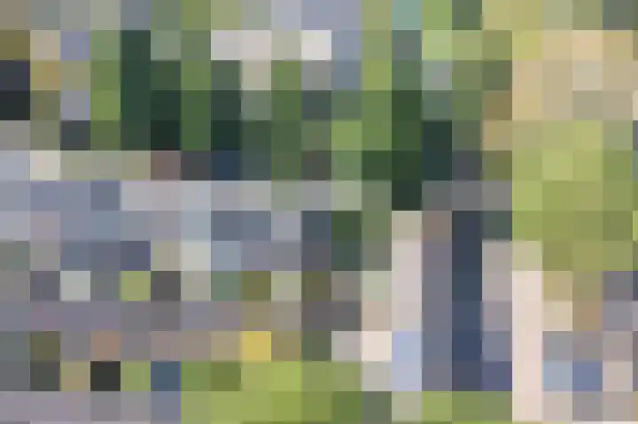 Plevierenlaan 36 Vinkeveen thumbnail 21