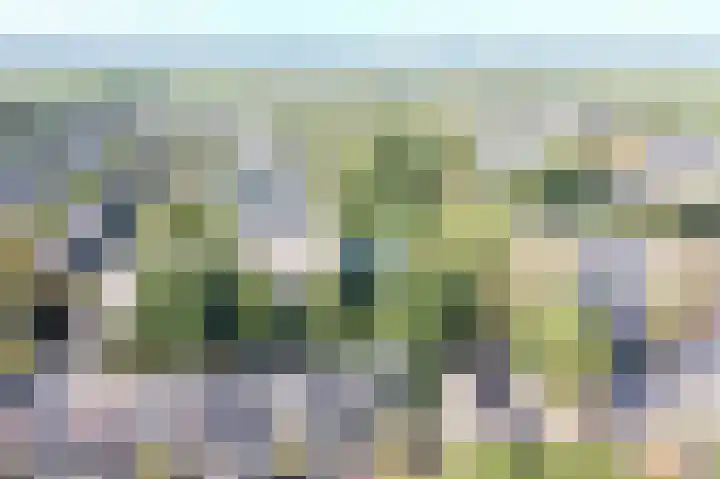 Plevierenlaan 36 Vinkeveen thumbnail 22