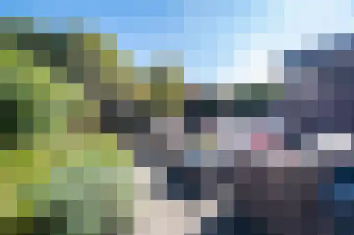 Plevierenlaan 36 Vinkeveen thumbnail 9