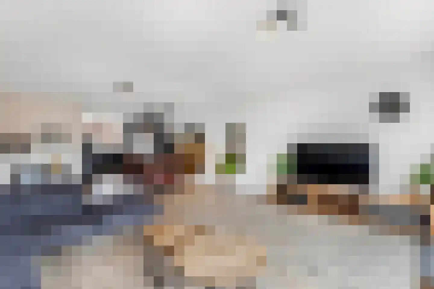Plevierenstraat 12 Emmeloord thumbnail 14