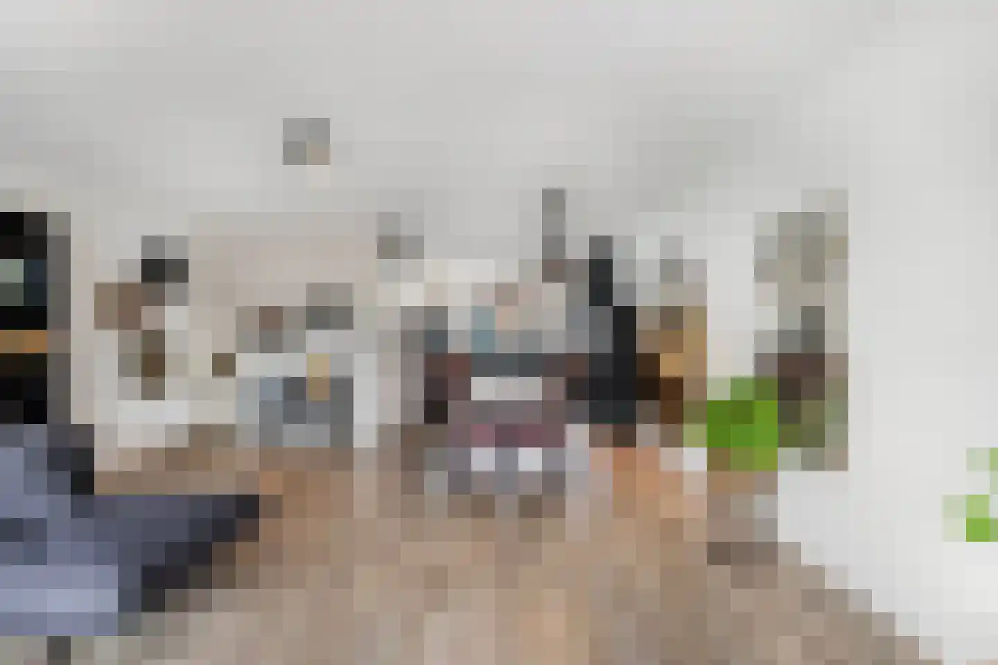 Plevierenstraat 12 Emmeloord thumbnail 15