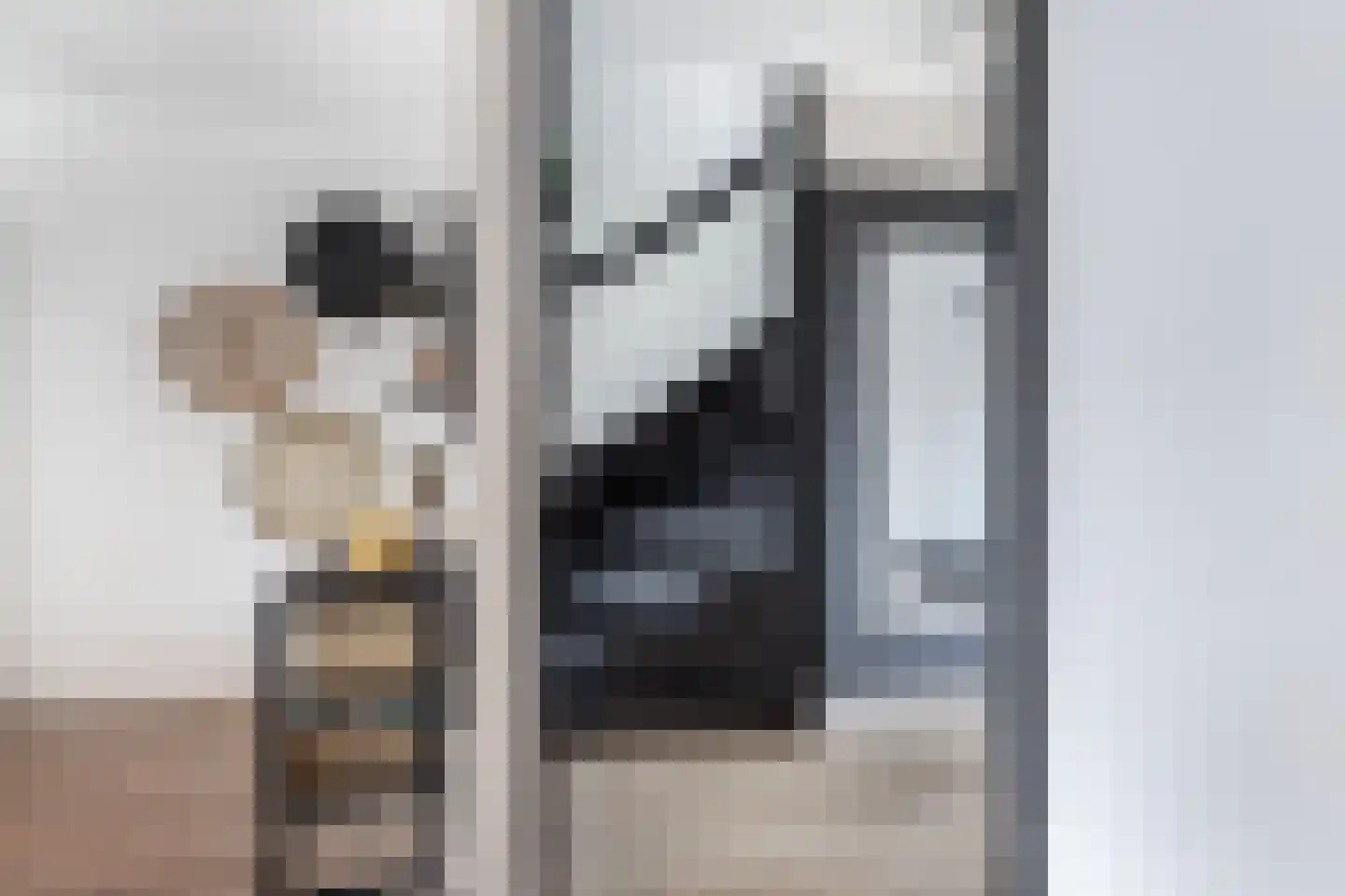 Plevierenstraat 12 Emmeloord thumbnail 20