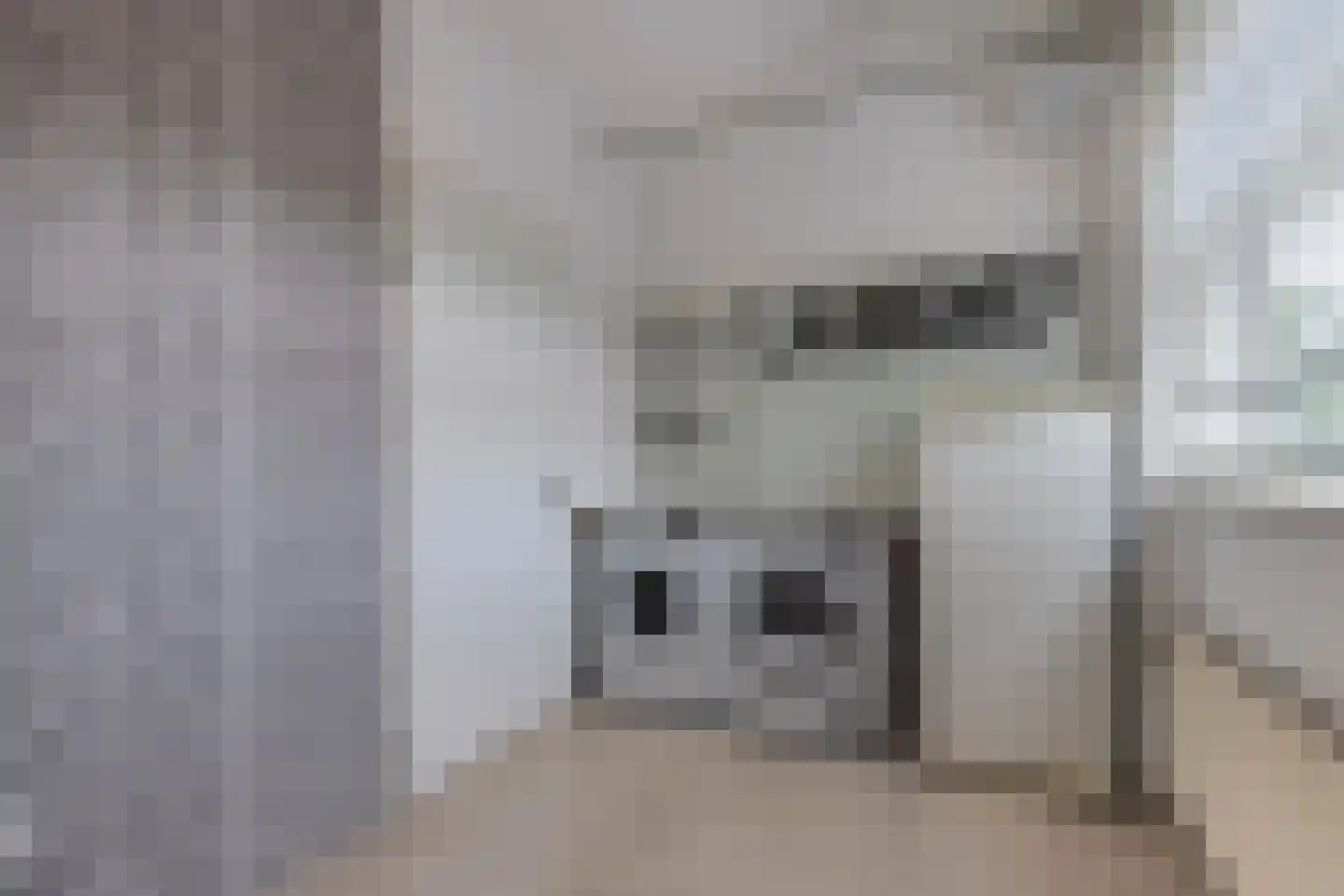 Plevierenstraat 12 Emmeloord thumbnail 33