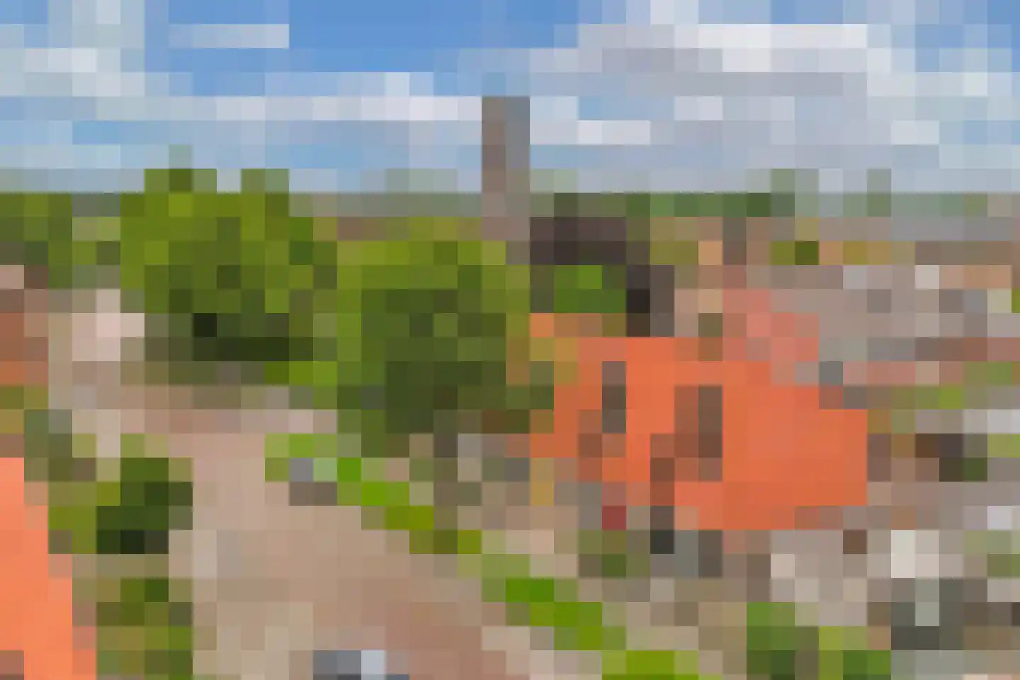 Plevierenstraat 12 Emmeloord thumbnail 46