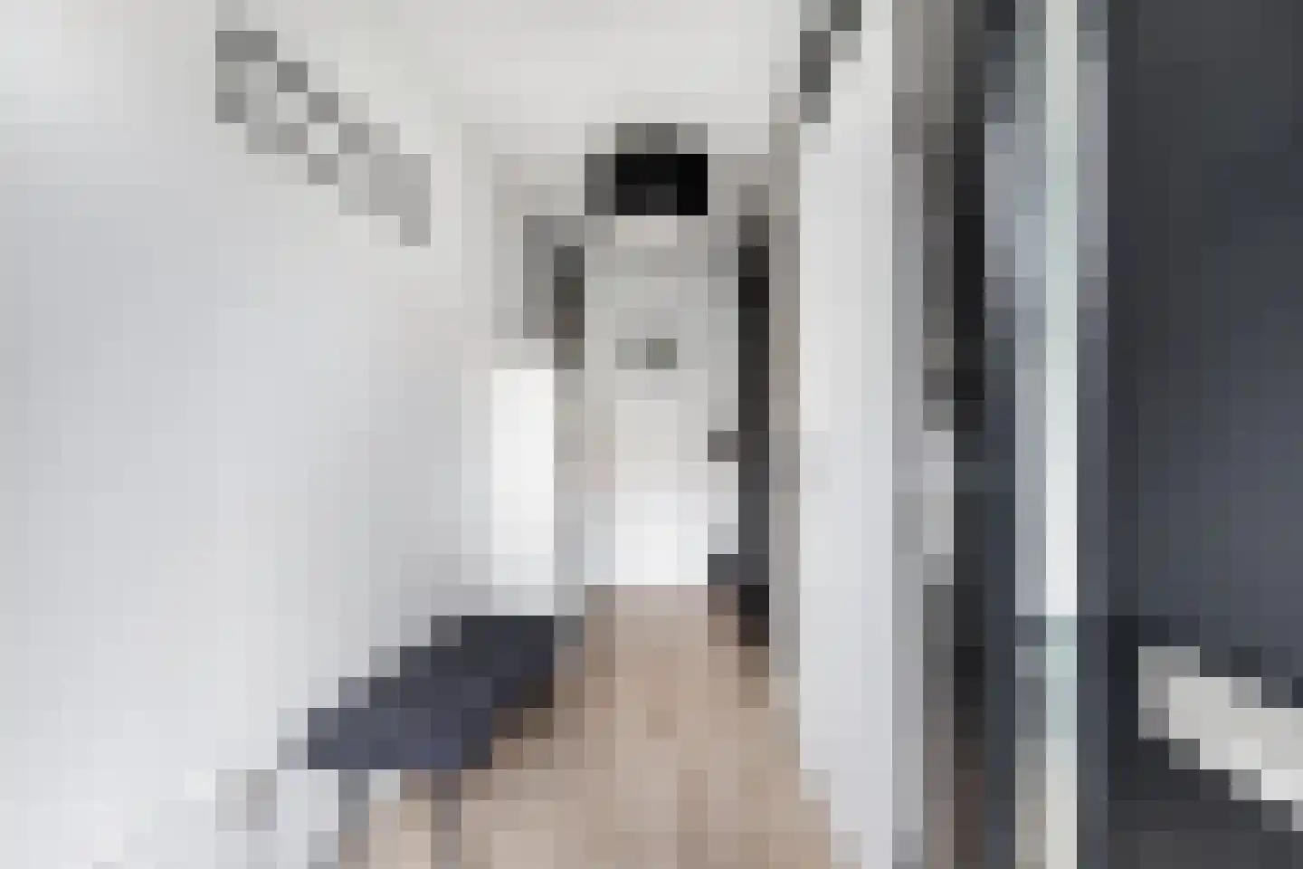 Plevierenstraat 12 Emmeloord thumbnail 8
