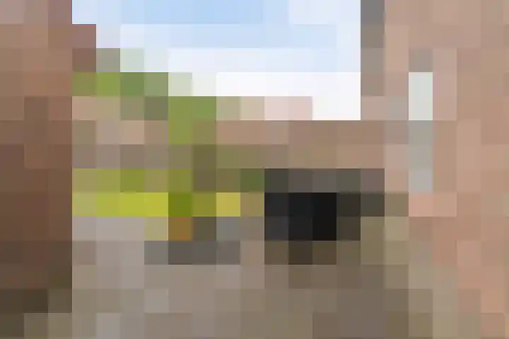 Plevierenstraat 49 Emmeloord thumbnail 22