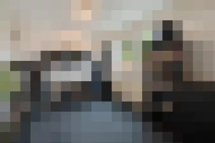 Plevierenstraat 49 Emmeloord thumbnail 32