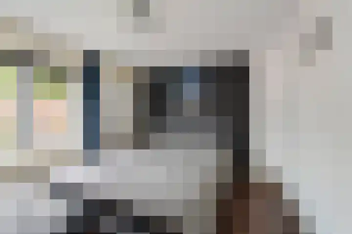 Plevierenstraat 49 Emmeloord thumbnail 35