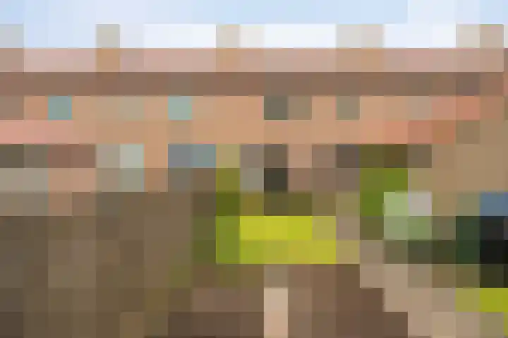 Plevierenstraat 49 Emmeloord thumbnail 4