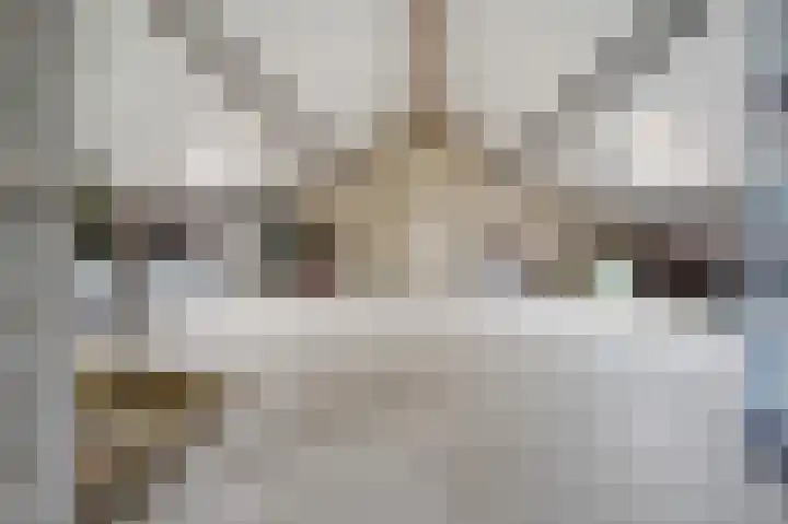 Plevierenstraat 49 Emmeloord thumbnail 43