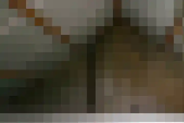 Plevierenstraat 59 Emmeloord thumbnail 39