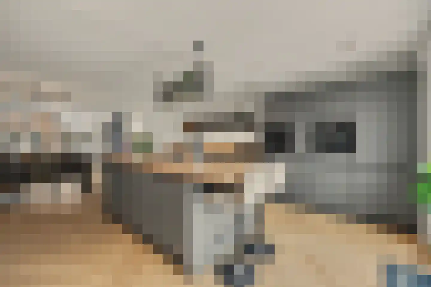 Plevierlaan 11 Sint-Maartensdijk thumbnail 15