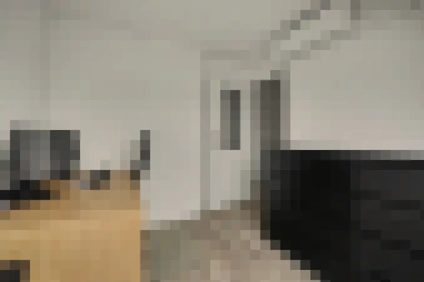 Plevierlaan 11 Sint-Maartensdijk thumbnail 32