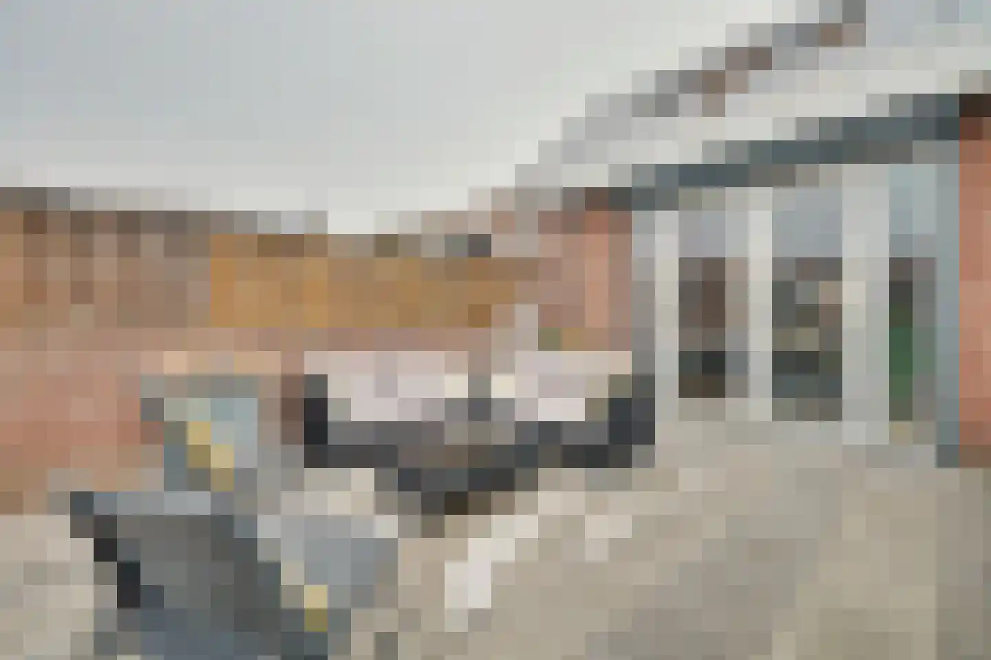 Plevierlaan 11 Sint-Maartensdijk thumbnail 34