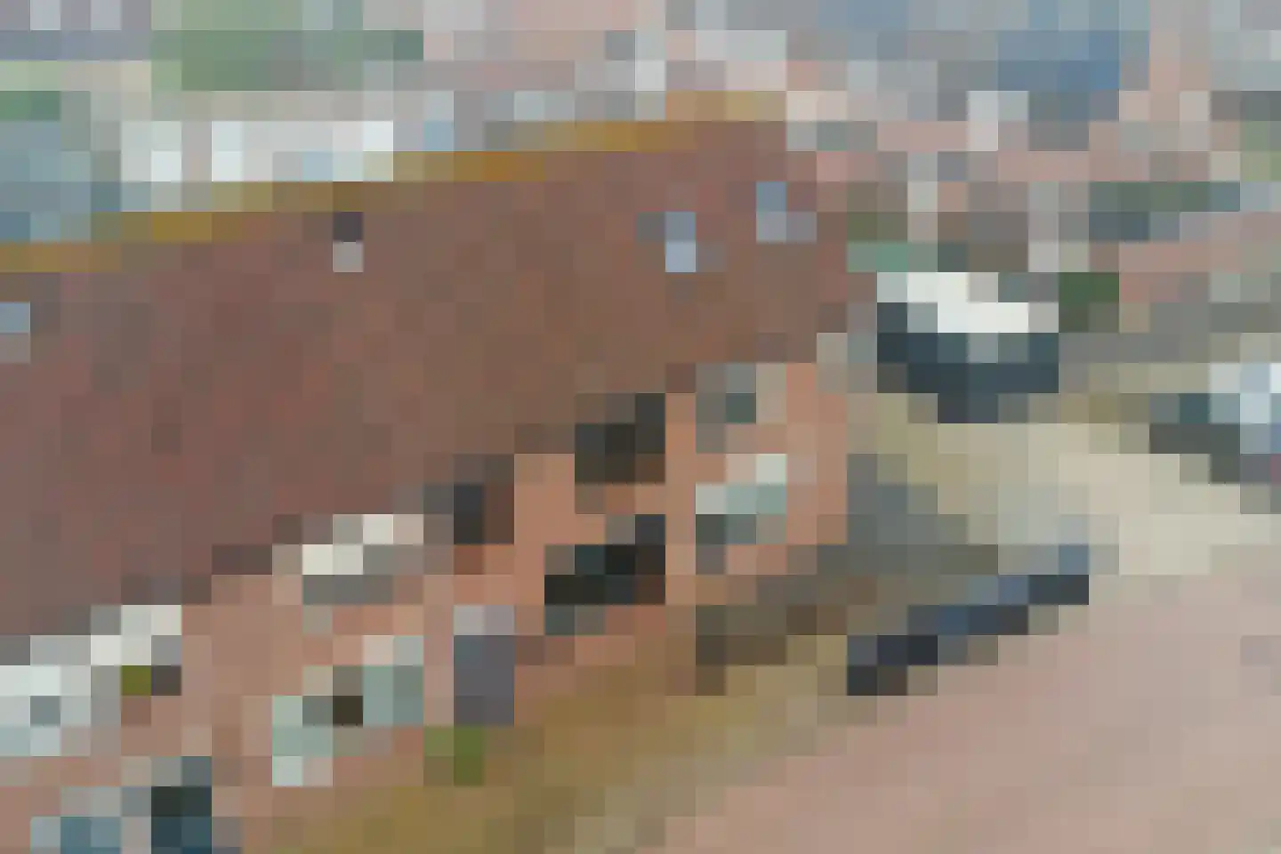 Plevierlaan 11 Sint-Maartensdijk thumbnail 47