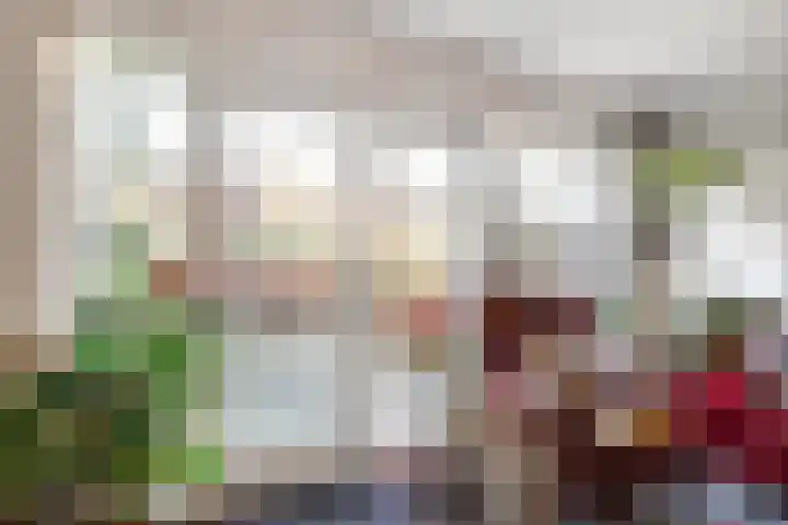 Pleviersingel 6 Den Haag thumbnail 11