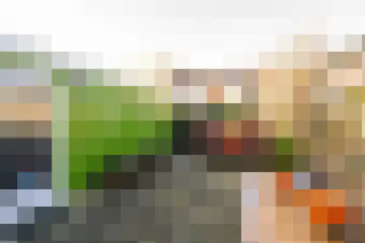 Pleviersingel 6 Den Haag thumbnail 14