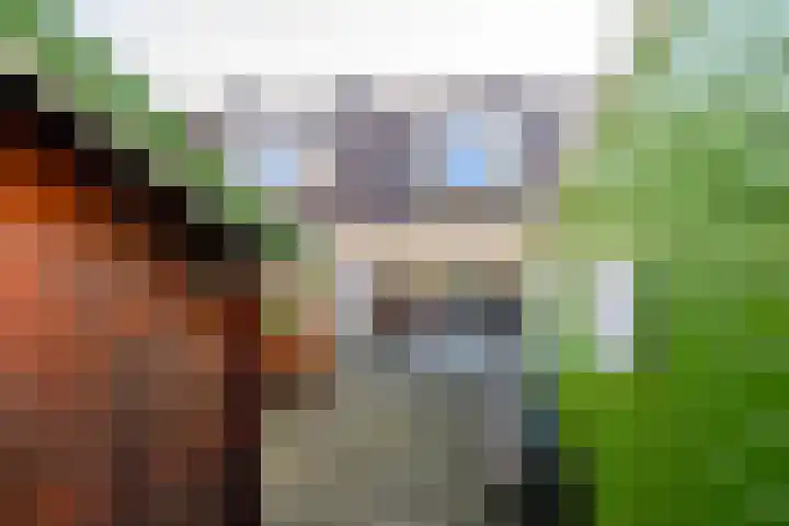 Pleviersingel 6 Den Haag thumbnail 15