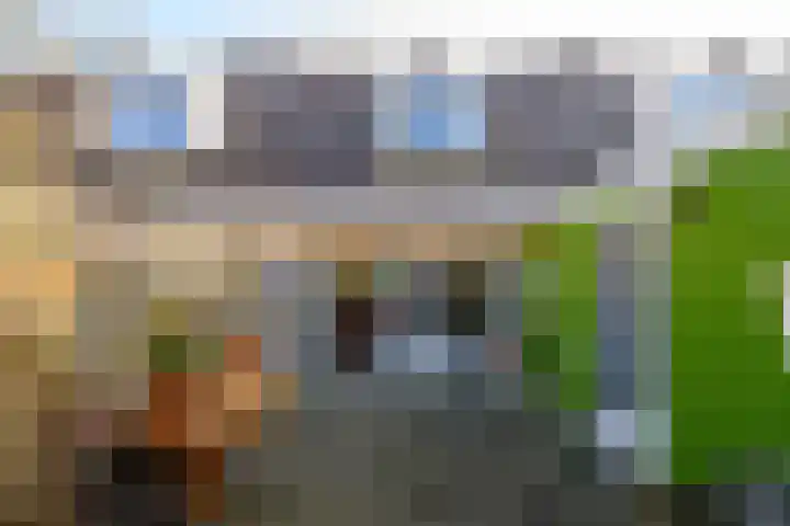 Pleviersingel 6 Den Haag thumbnail 16