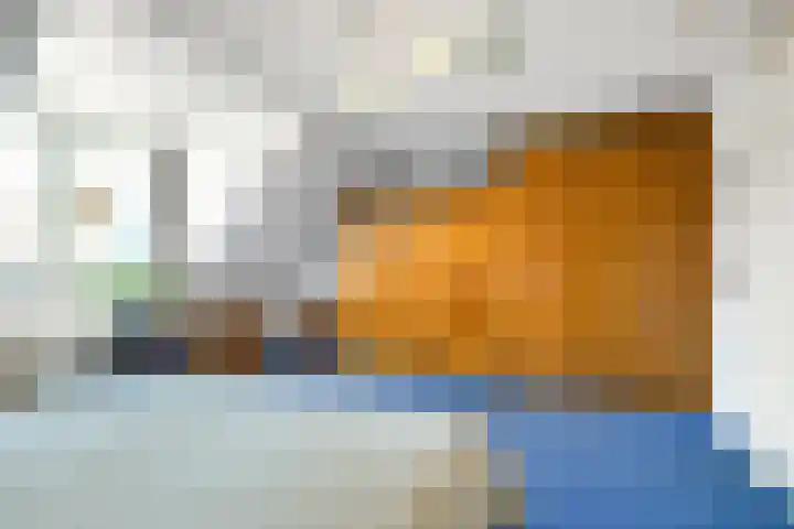 Pleviersingel 6 Den Haag thumbnail 20
