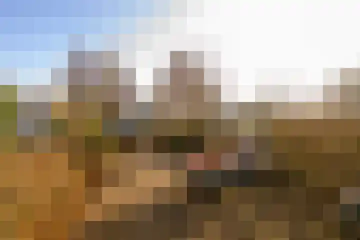 Pleviersingel 6 Den Haag thumbnail 32
