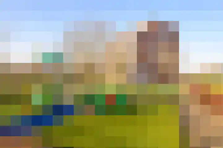 Pleviersingel 6 Den Haag thumbnail 33
